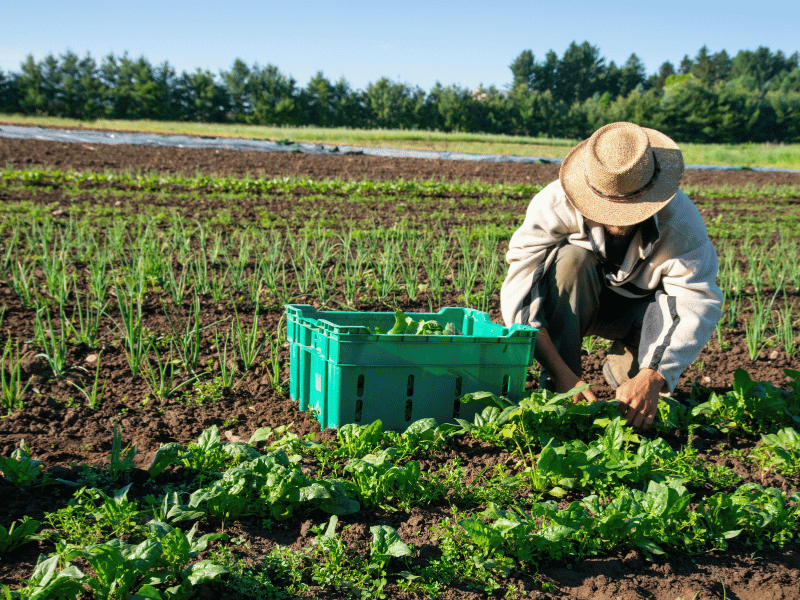 Farming & Agriculture